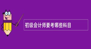 初级会计师要考哪些科目