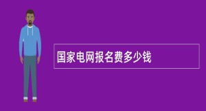 国家电网报名费多少钱