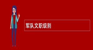 军队文职级别